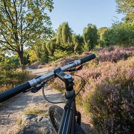 Casa de hóspedes Heidetraum & Arndt Bispingen