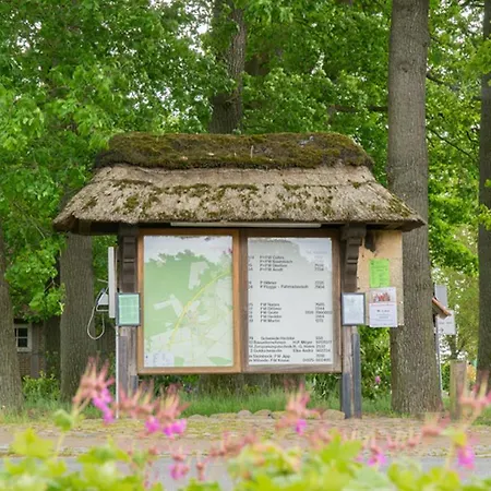 Heidetraum Pension&ferienwohnung Arndt Bispingen