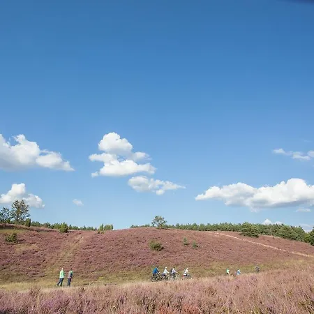 Casa de hóspedes Heidetraum & Arndt 4*