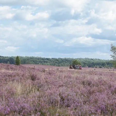 Heidetraum & Arndt Casa de hóspedes