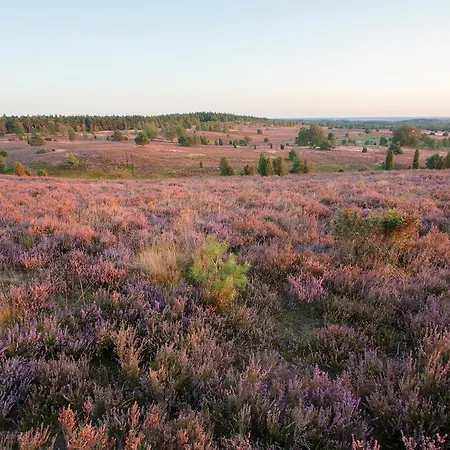 Heidetraum & Arndt Bispingen