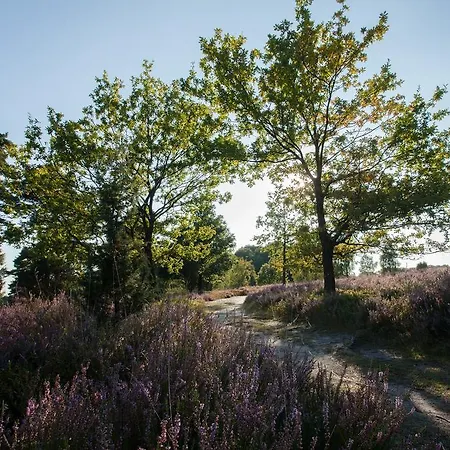 Heidetraum & Arndt Casa de hóspedes Bispingen